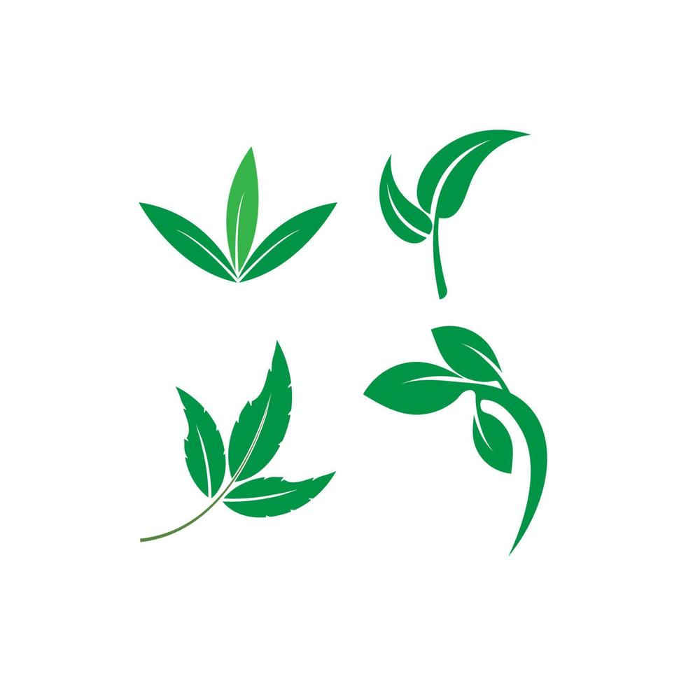Green leaf logo vector