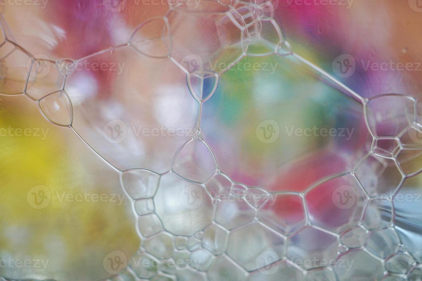 soap bubbles in the colorful abstract background photo