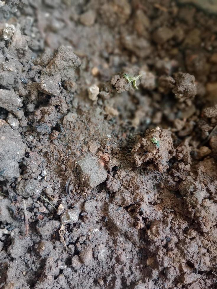 fertile soil elements photo