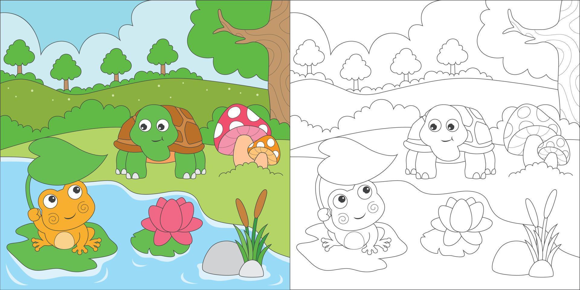 coloring frog and turtle vector