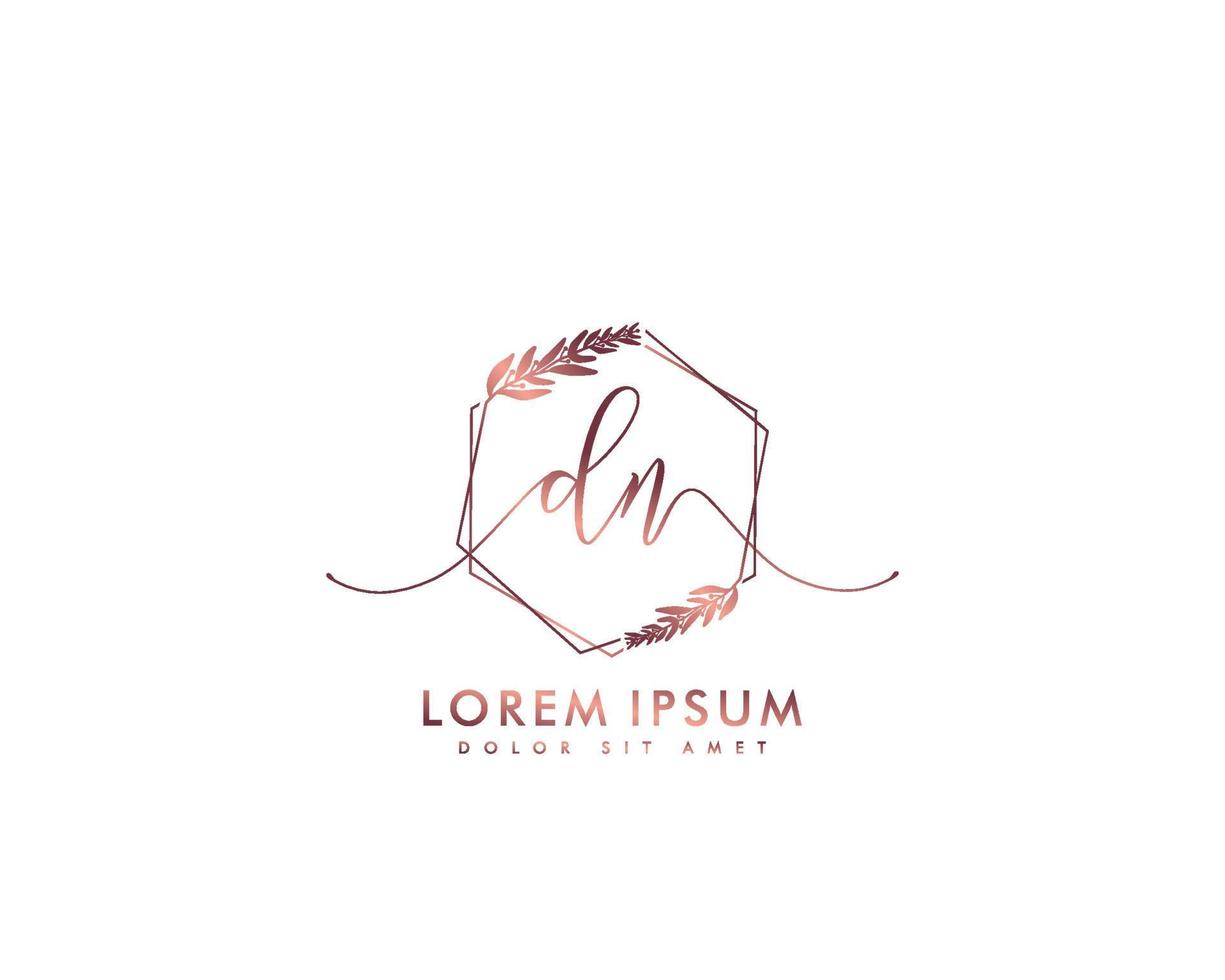 Initial DN Feminine logo beauty monogram and elegant logo design, handwriting logo of initial signature, wedding, fashion, floral and botanical with creative template vector