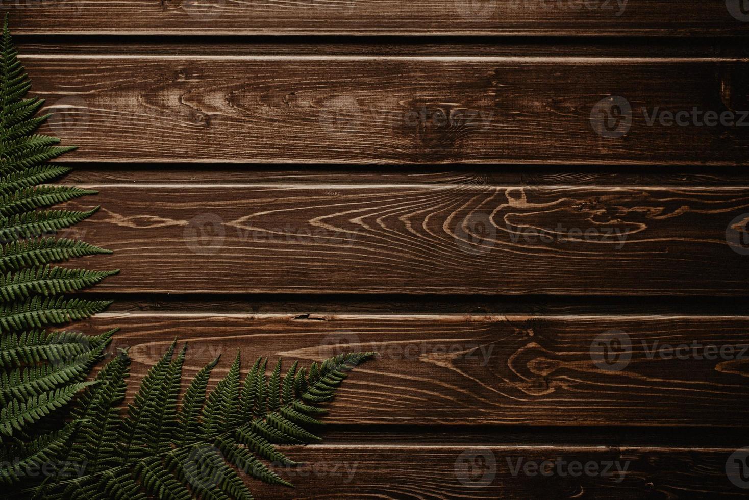 fern green lies on dark wooden background photo