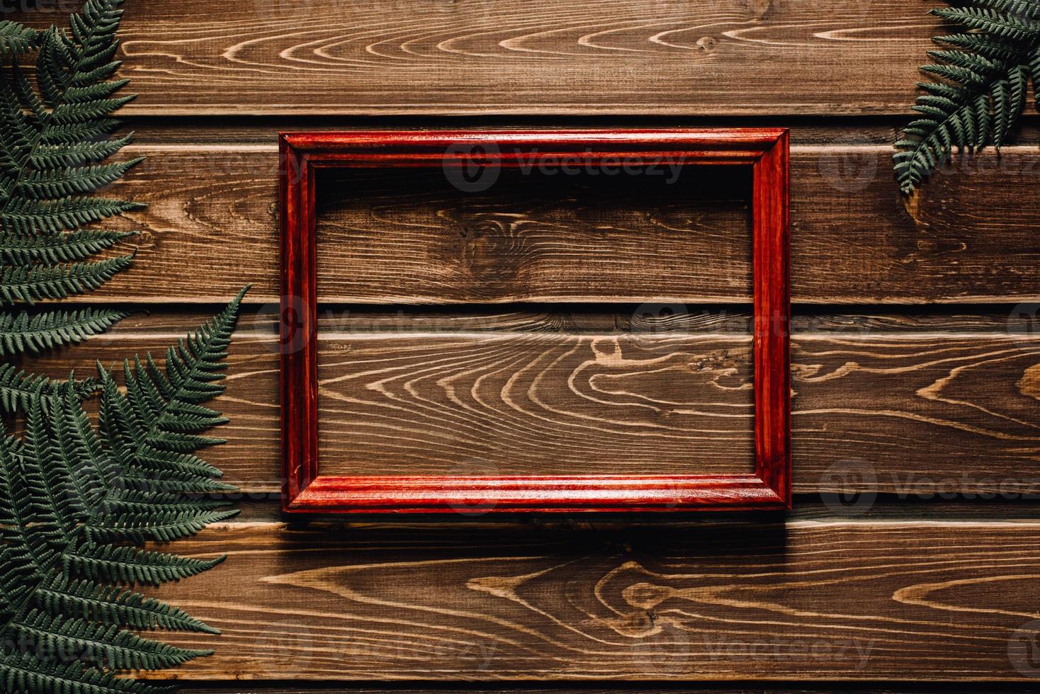 hojas de helecho sobre fondo de madera oscura con marco foto