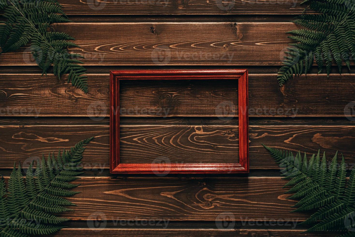 fern leaves on dark wooden background with frame photo