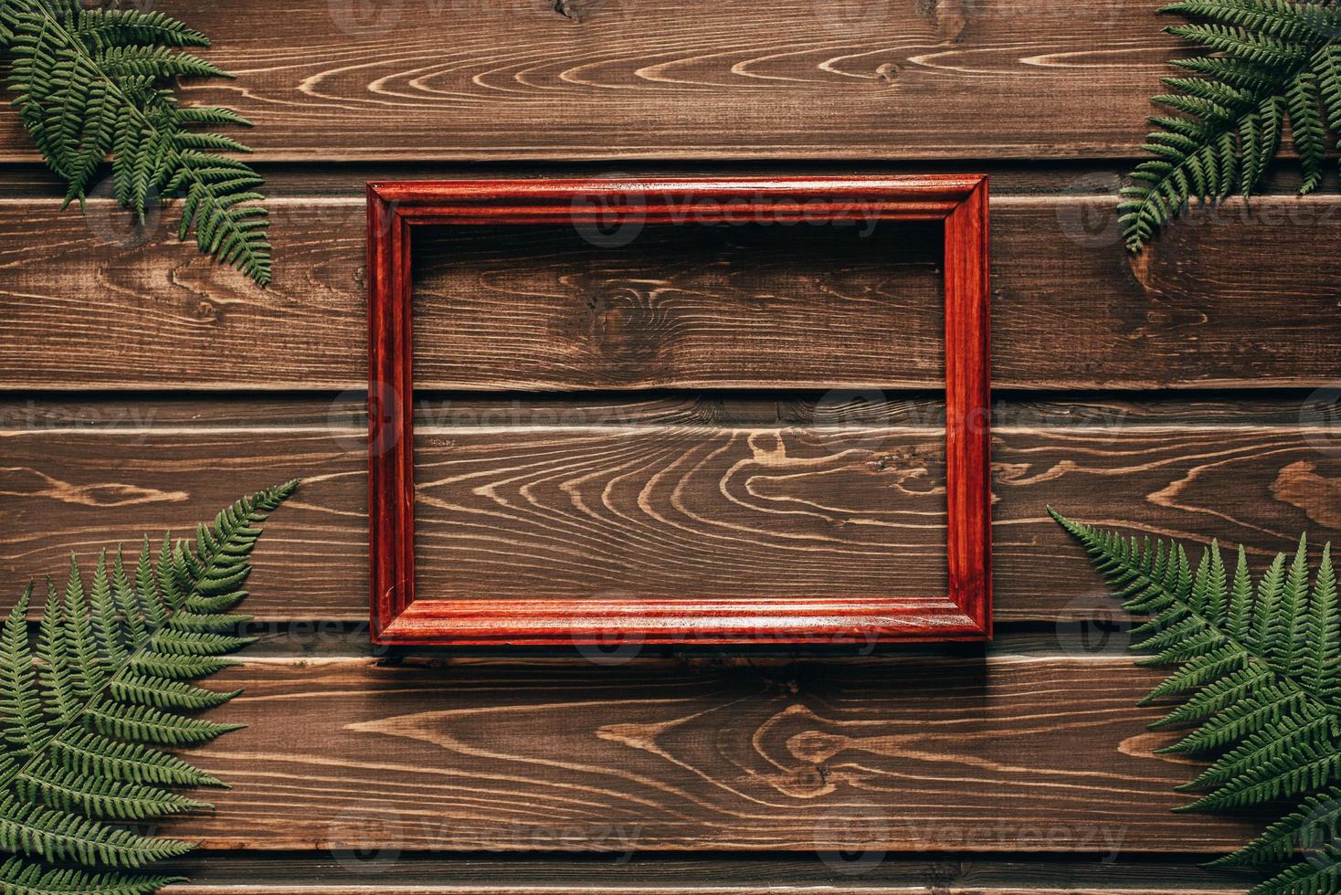 fern leaves on dark wooden background with frame photo