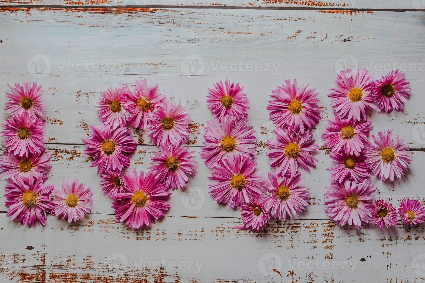 chrysanthemum in the background. text. love. flat position, top view photo
