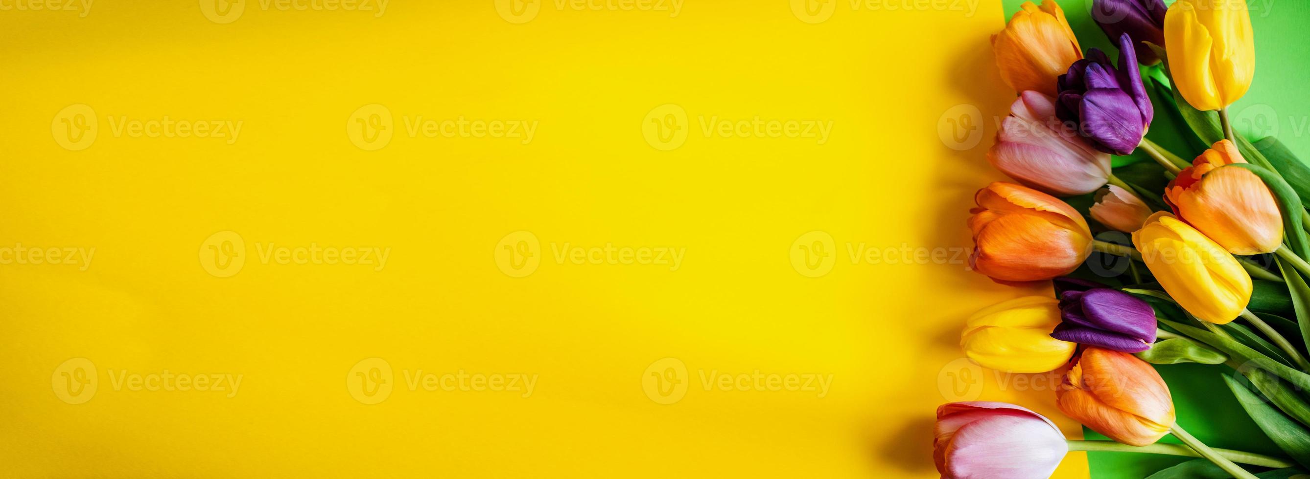 Colorful tulips on a yellow background. Top view with a copy of the space photo