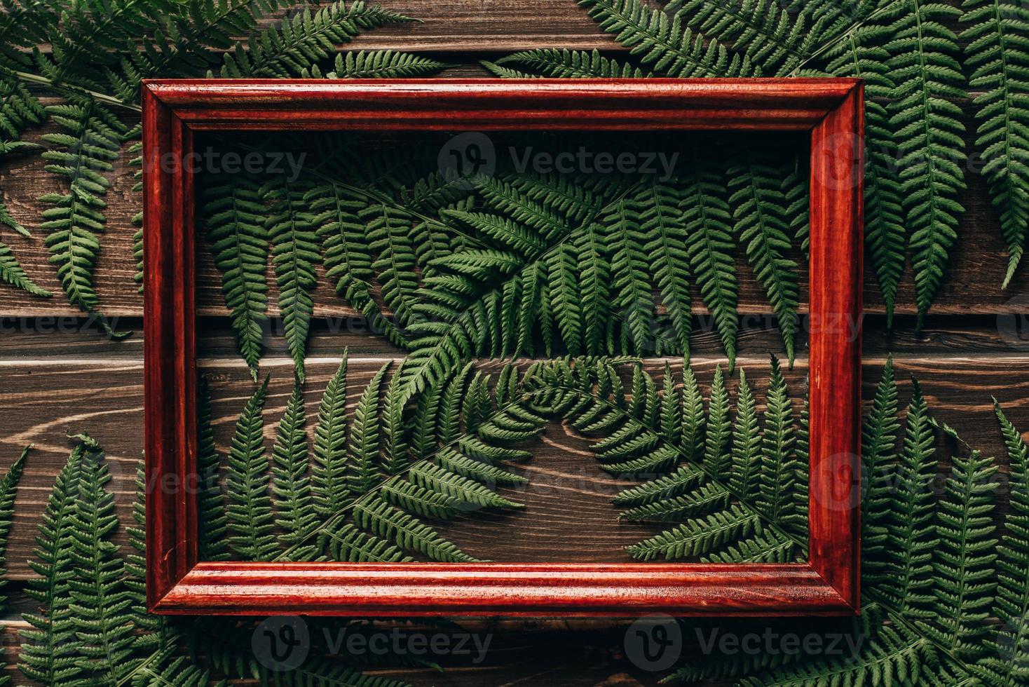 fern leaves on dark wooden background with frame photo