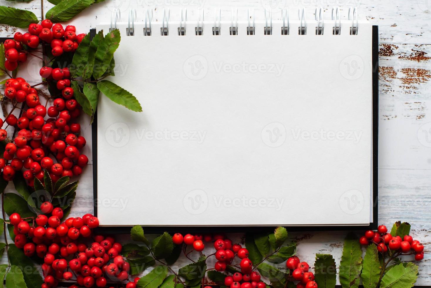 autumn leaves and fruits of mountain ash on a wooden background with plate photo