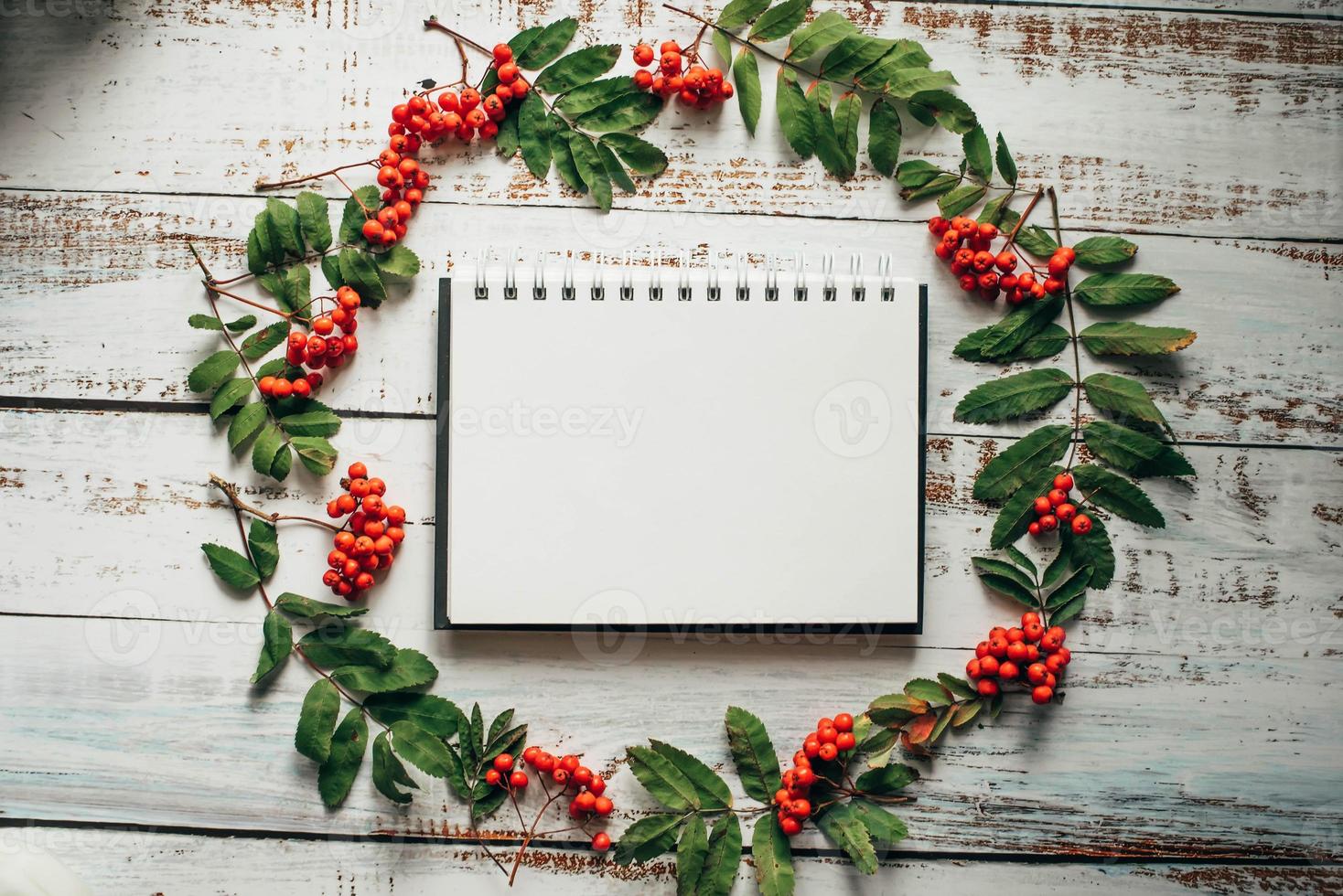 White wooden background with autumn rowan berries and leaves. Flat lay, top view photo