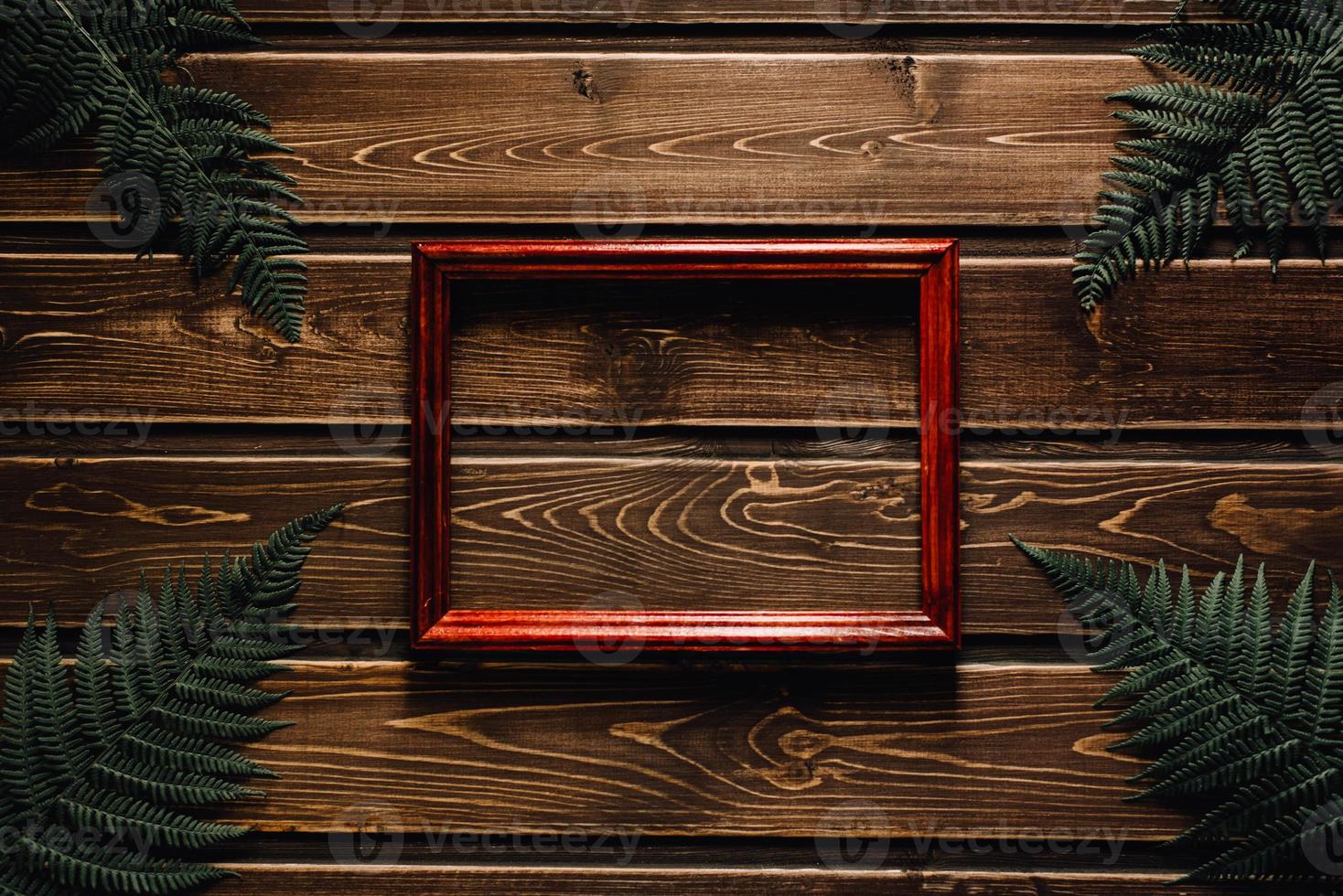 fern leaves on dark wooden background with frame photo