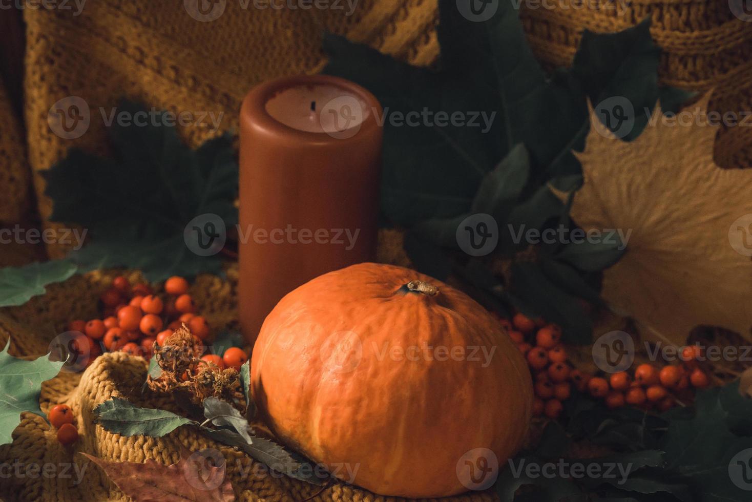 Thanksgiving pumpkins with fall leaves in cosy knitted blanket close up photo