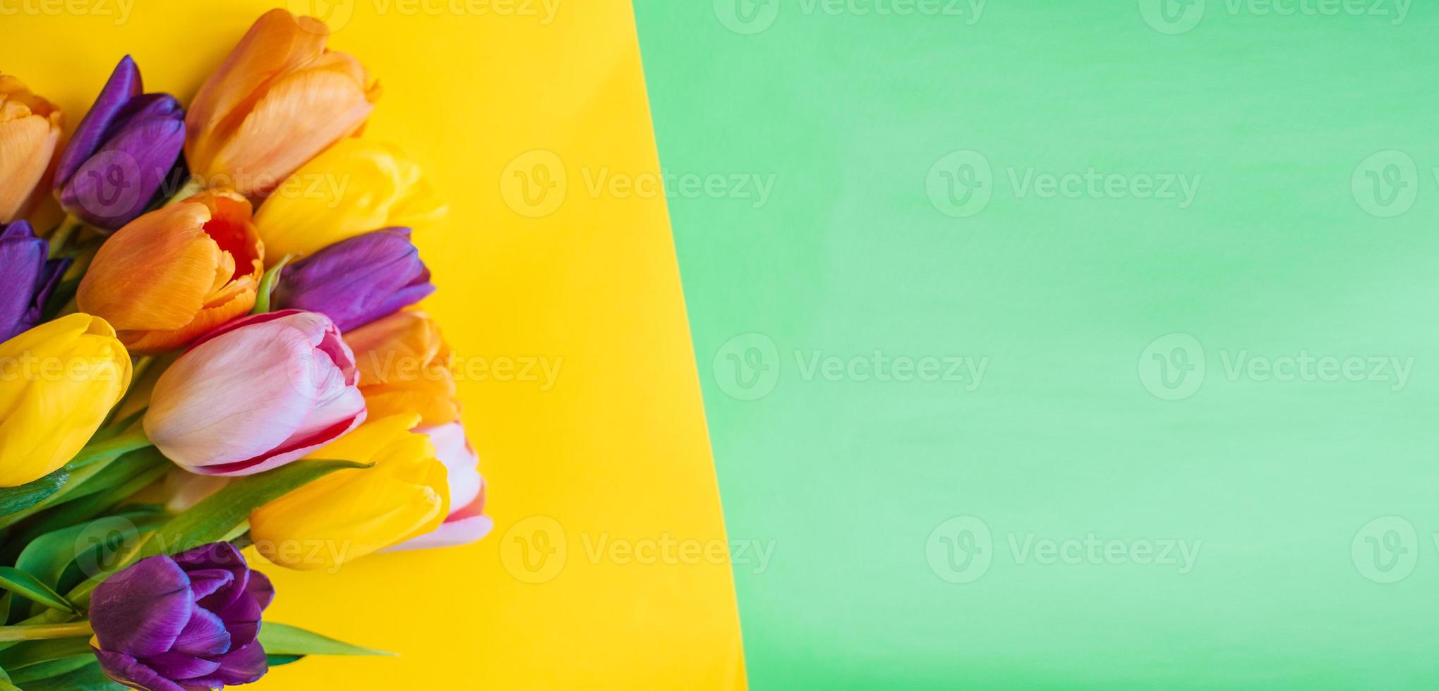 tulips on a yellow-green background. the view from the top. with space for text photo