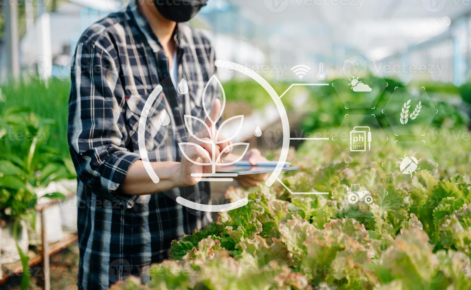 el hombre da lechuga de jardinería en la granja con proceso de crecimiento y fórmula química sobre fondo verde. con icono de realidad virtual foto