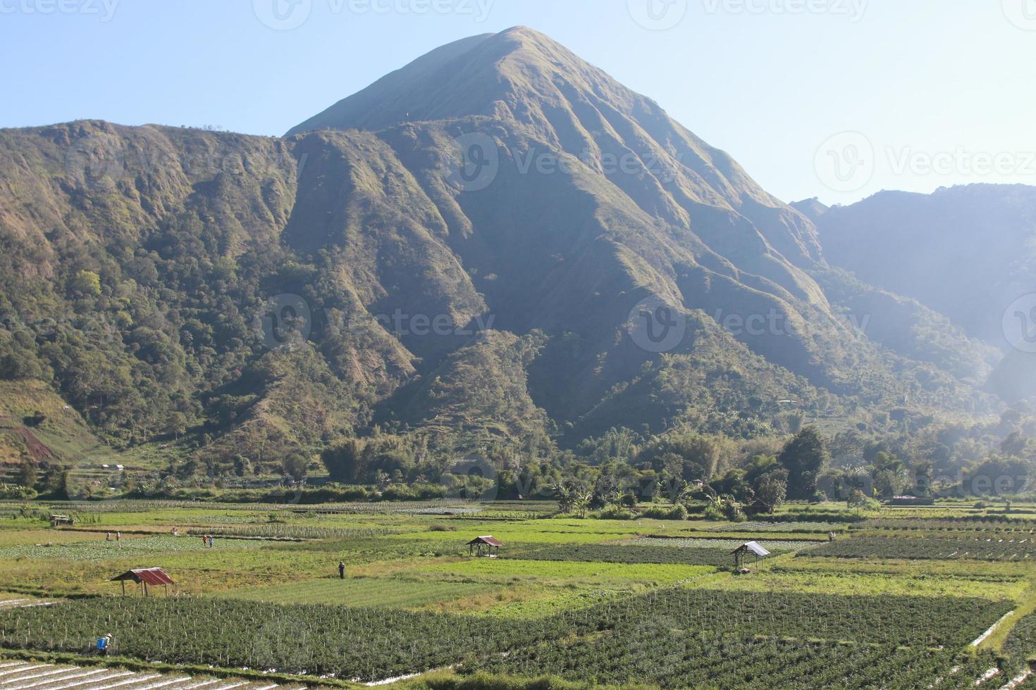 View of the Sembalun village of Lombok, Mount Rinjani, the hills of Sembalun Lombok photo
