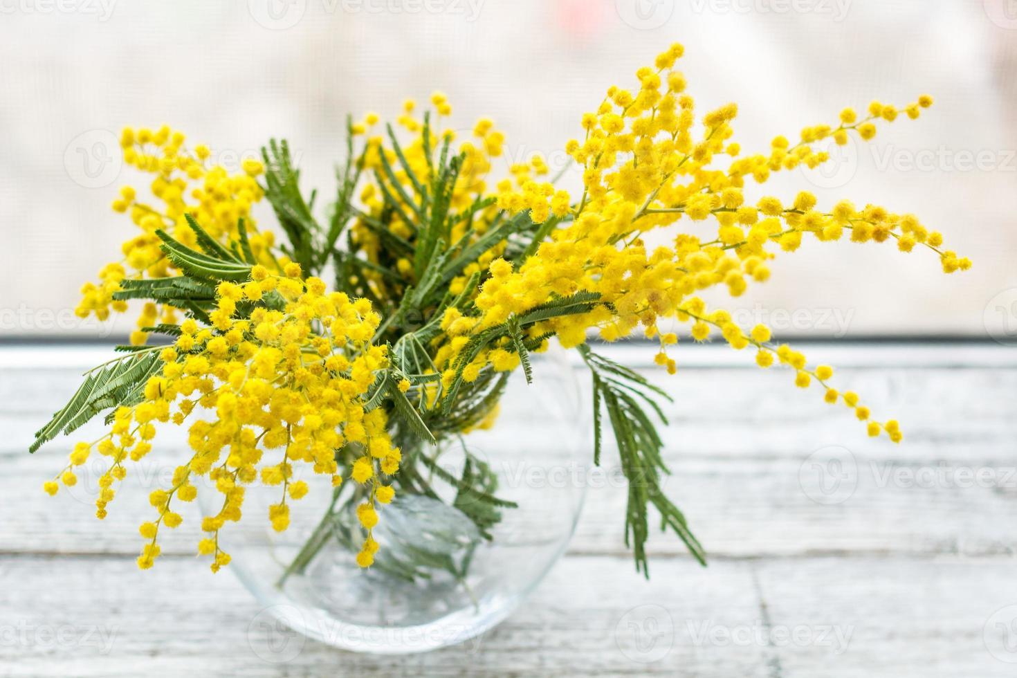 Beautiful yellow mimosa flower blossom in glass vase in spring time photo