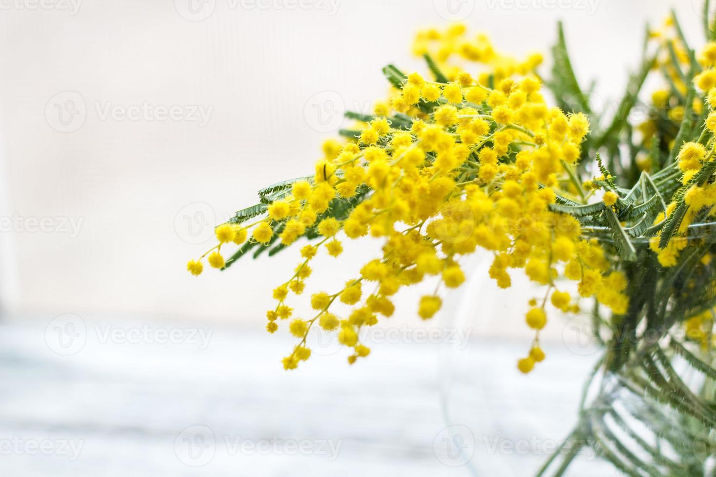 Beautiful yellow mimosa flower blossom in glass vase in spring time photo