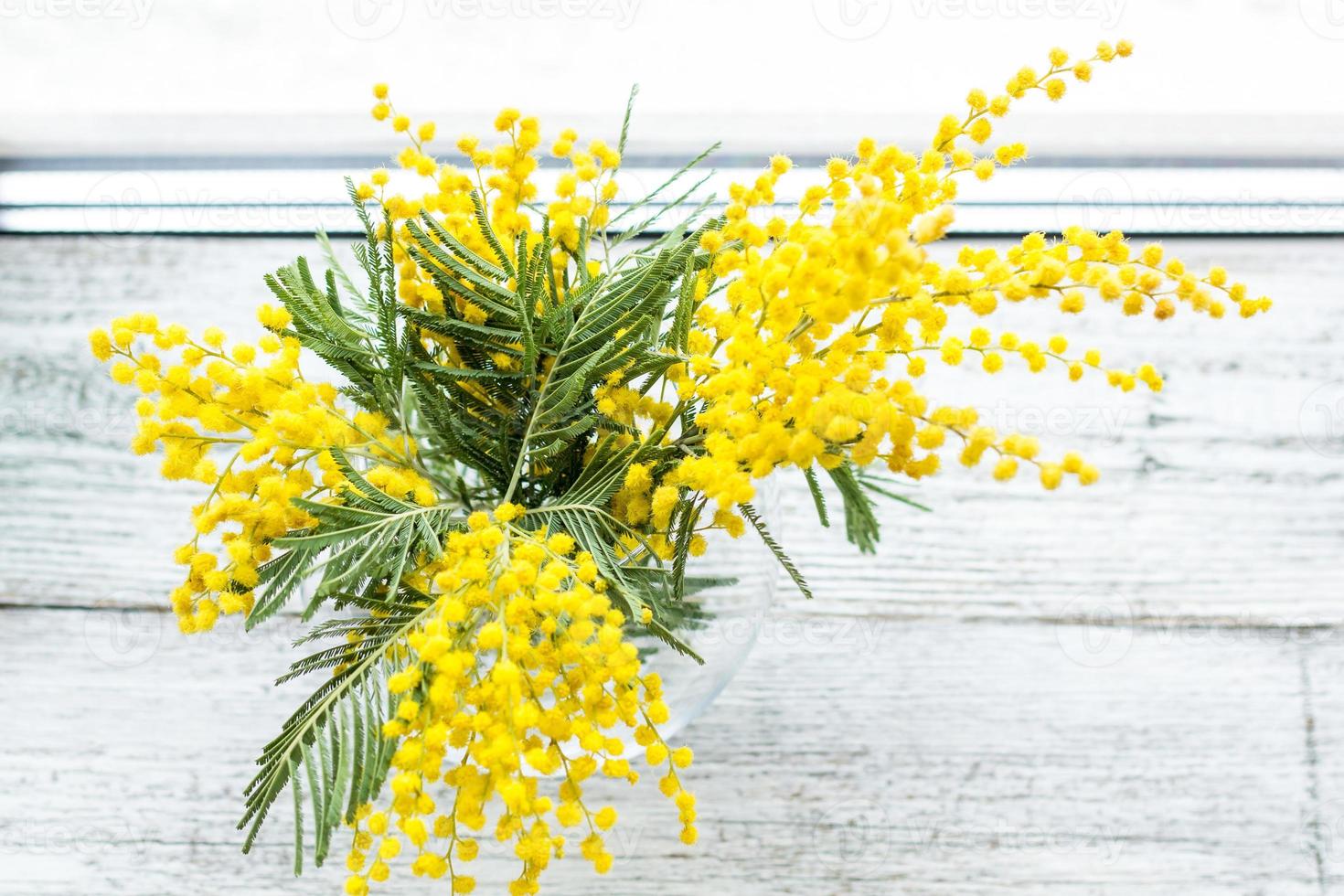 Beautiful yellow mimosa flower blossom in glass vase in spring time photo