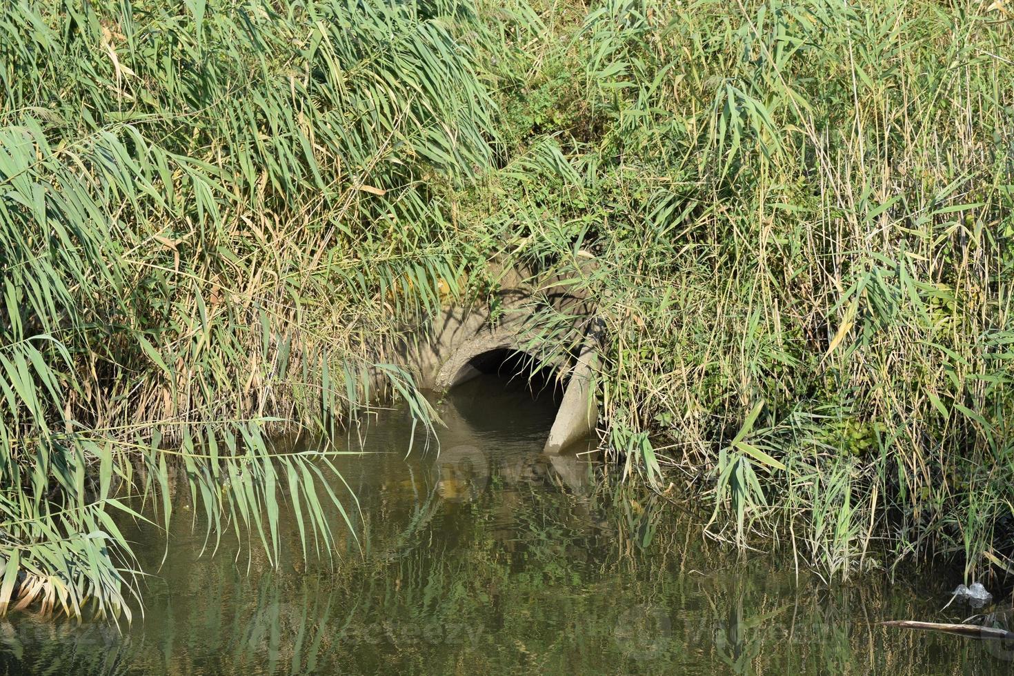 Gateway between the channels irrigation system of rice fields photo