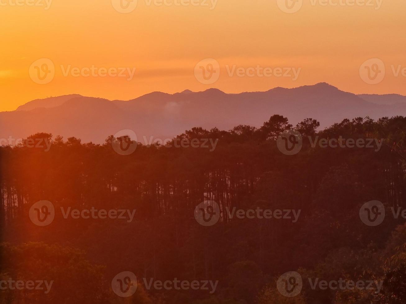 vista natural a la montaña con color naranja dorado. degradado hermoso bosque árbol diseño elegante luz. foto