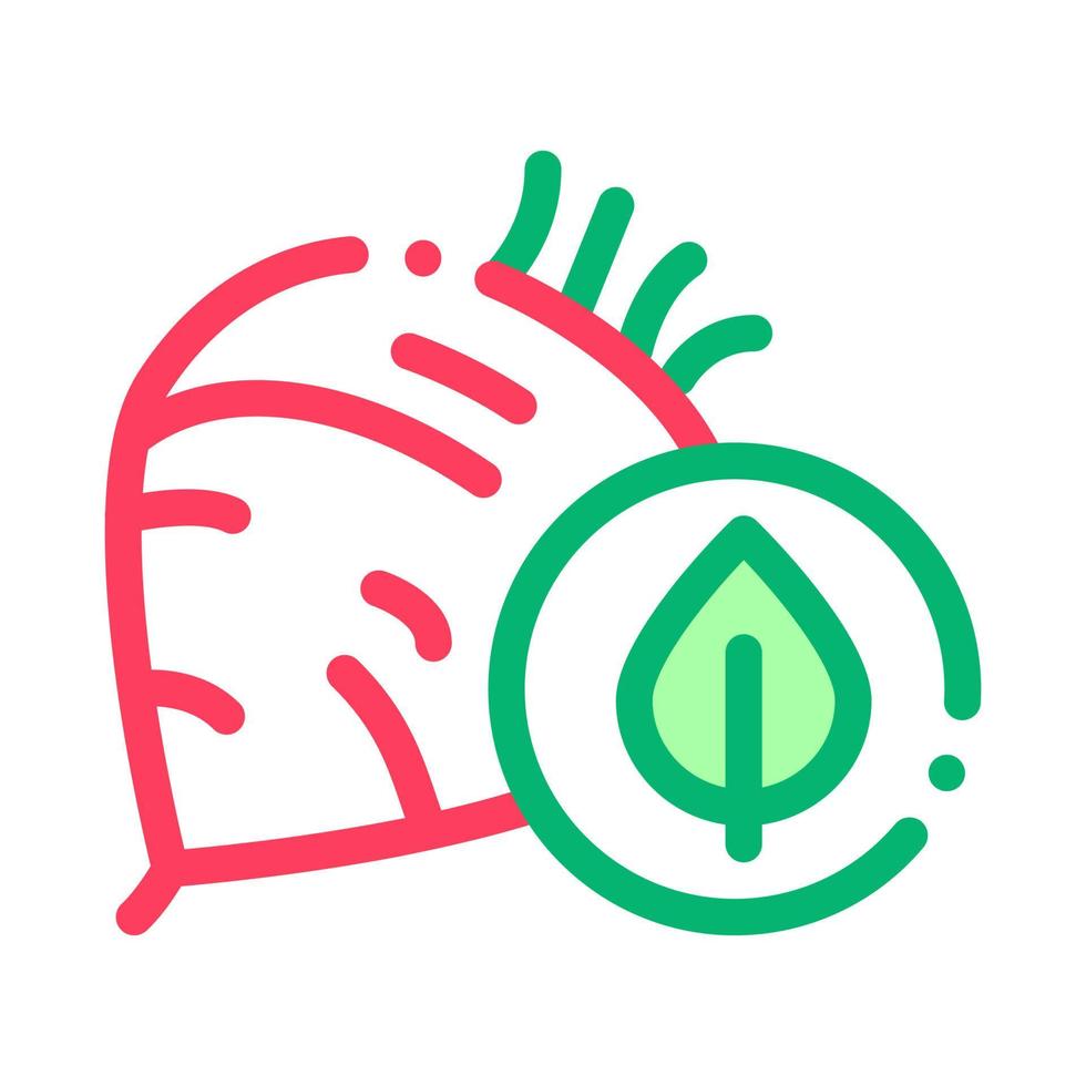 Beet Vegetable Icon Vector Outline Illustration