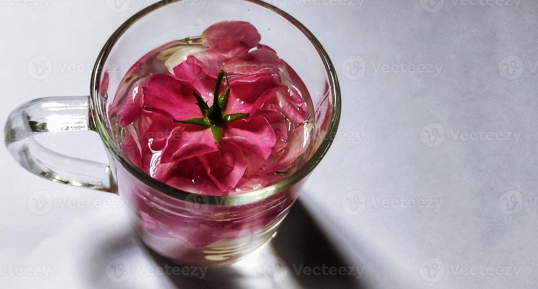 vista de cerca de la flor rosa chinensis en un vaso de vidrio lleno de agua, ilustración del concepto romántico foto