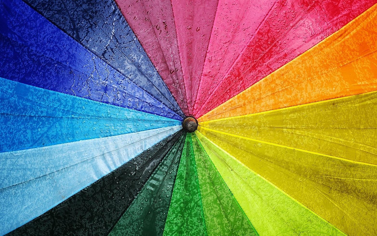 Colorful background abstract in umbrella photo