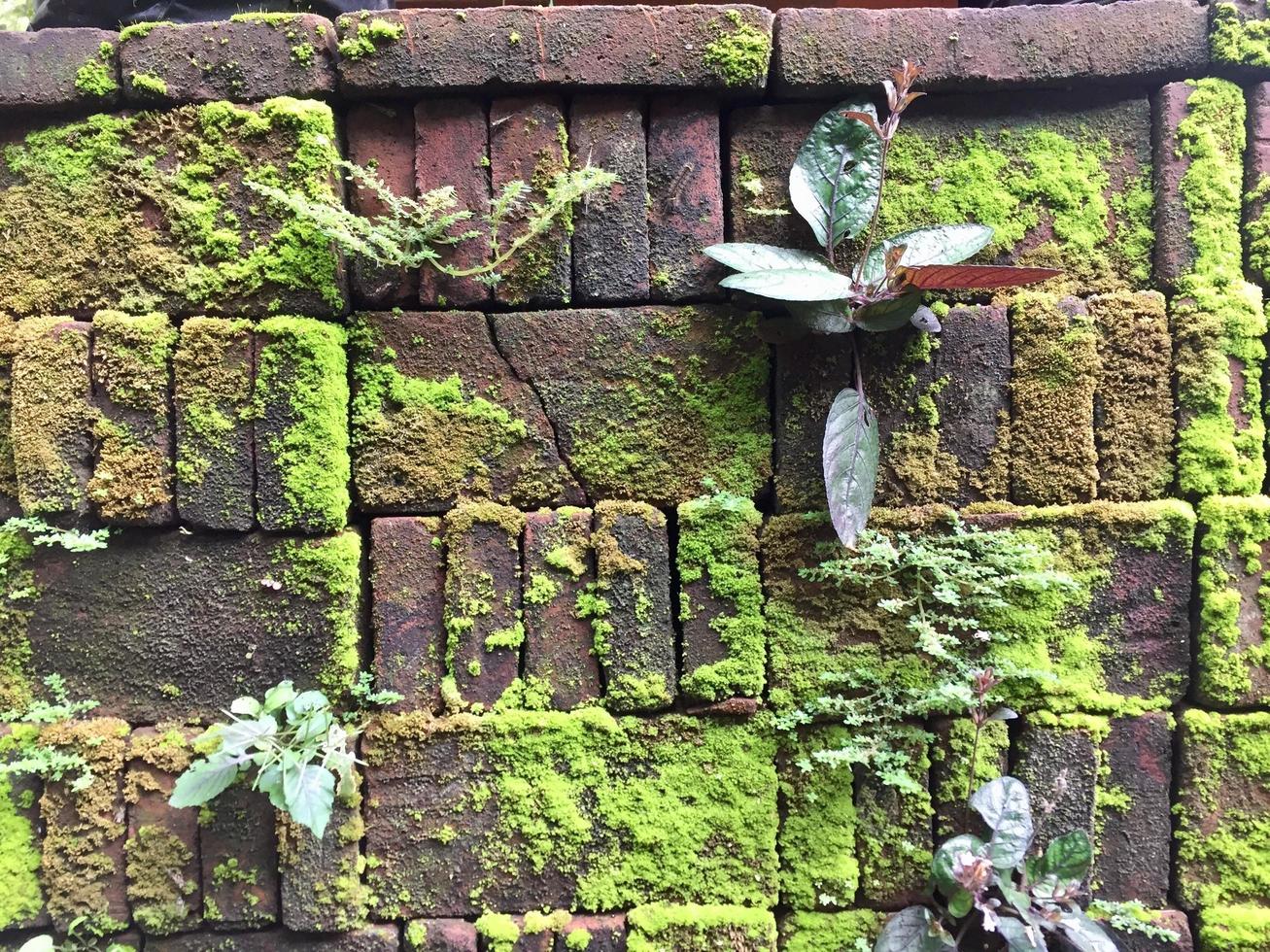 mossy brick arrangement. red brick building materials 17564471 Stock