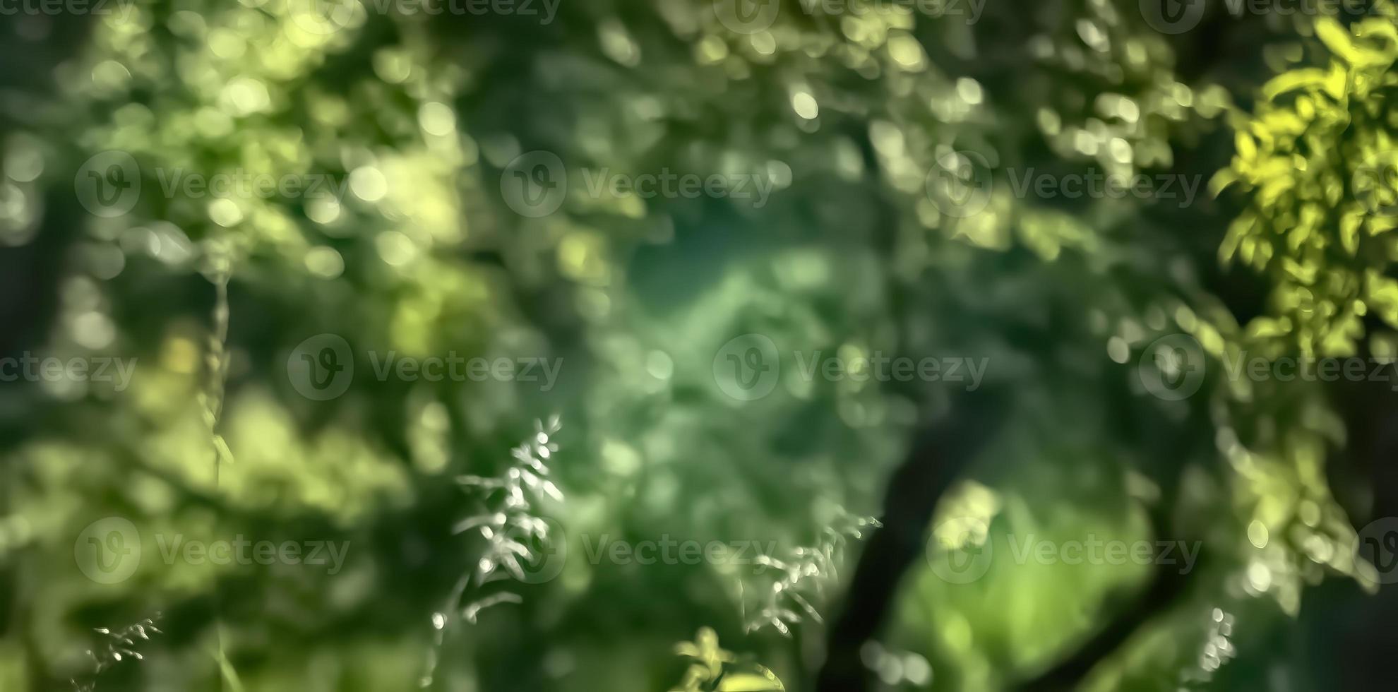 Wild grass on a sun light photo