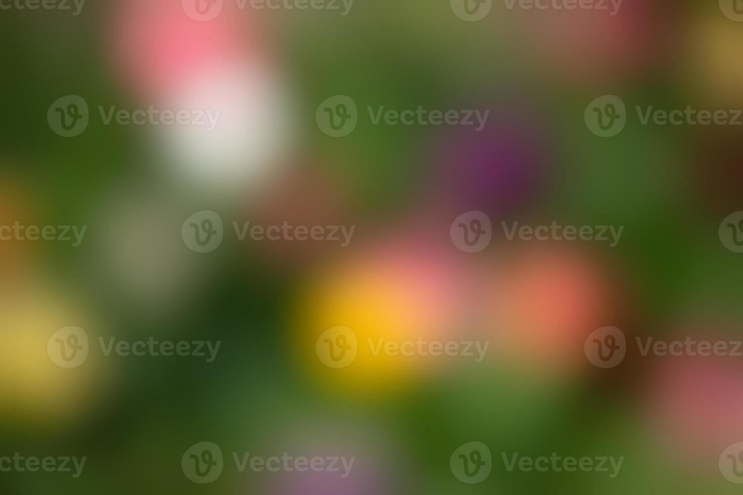 Abstract blurred image of a spring garden photo