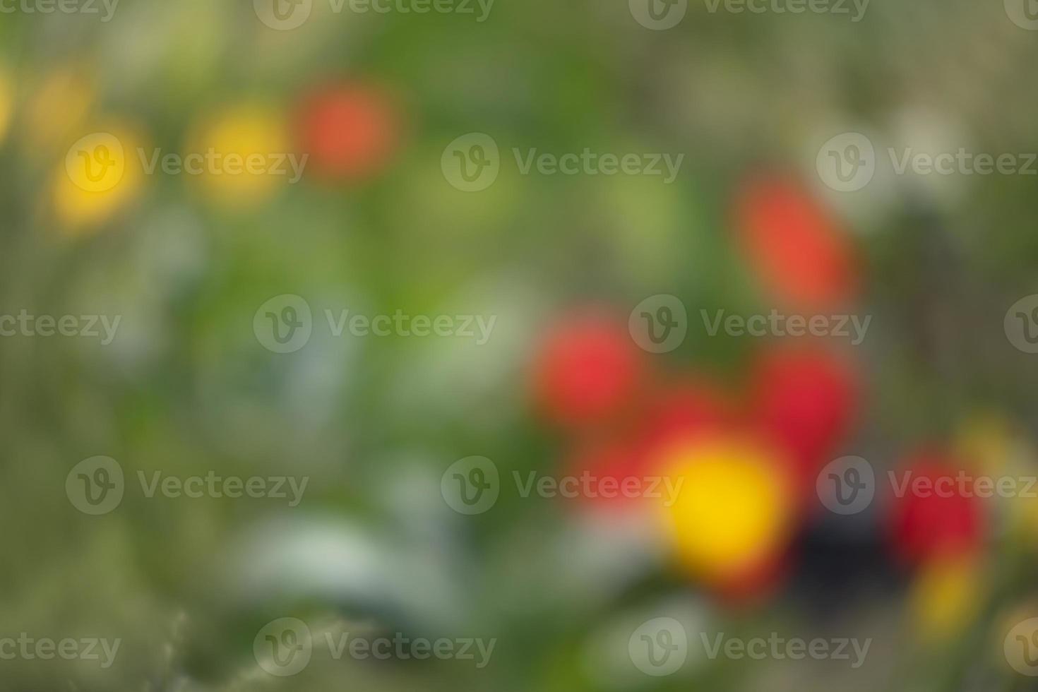 Abstract blurred image of a spring garden photo