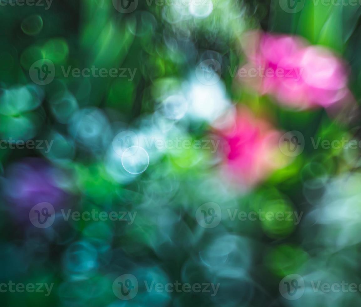 Abstract blurred image of a spring garden photo