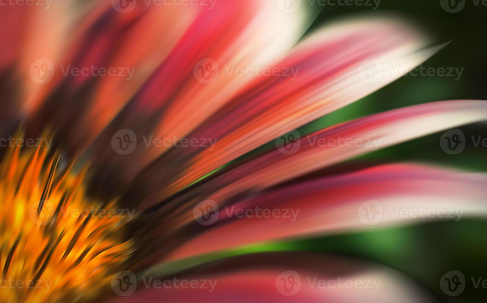 Abstract blurred flowers photo