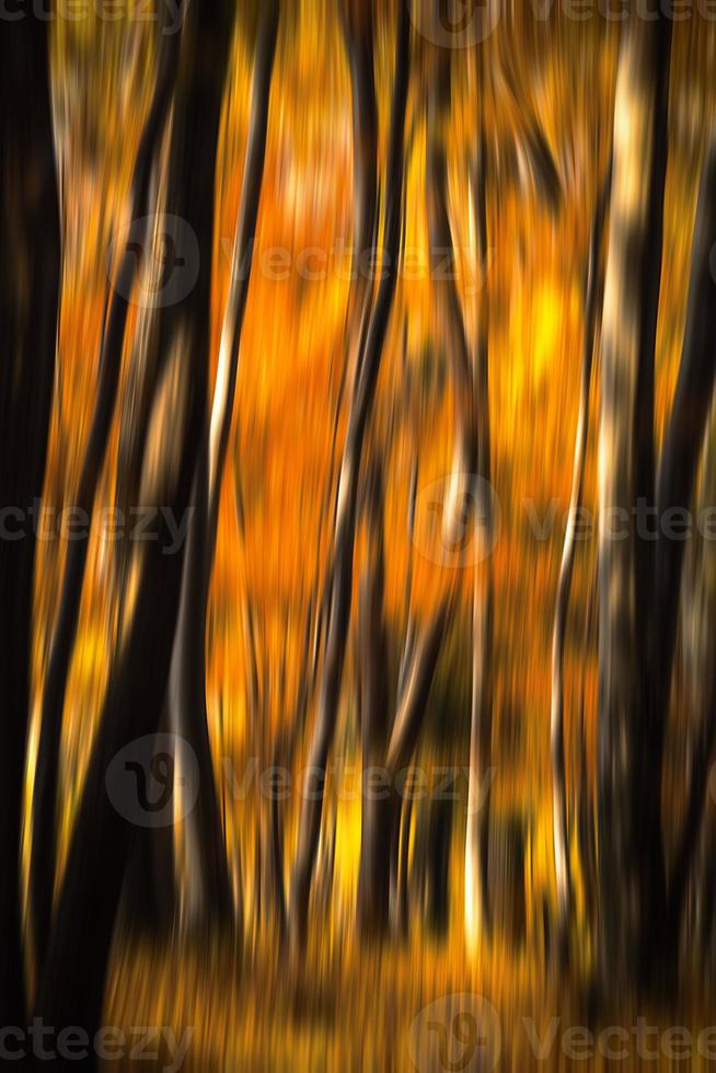Abstract nature background photo