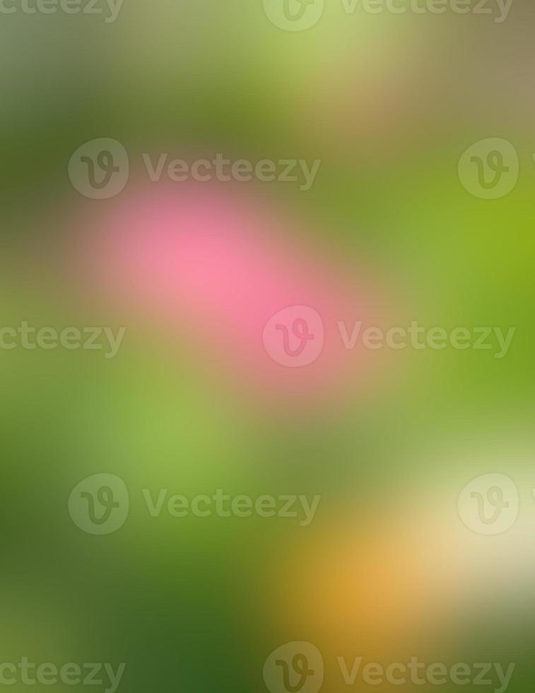 Abstract blurred image of a spring garden photo