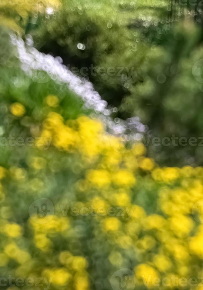 Abstract blurred image of a spring garden photo