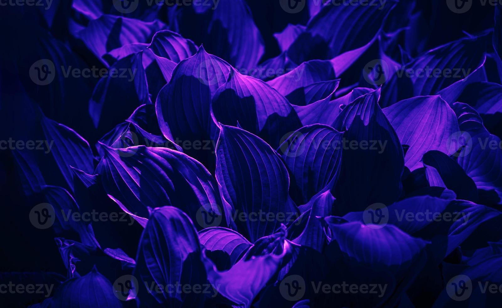 Natural neon texture background photo