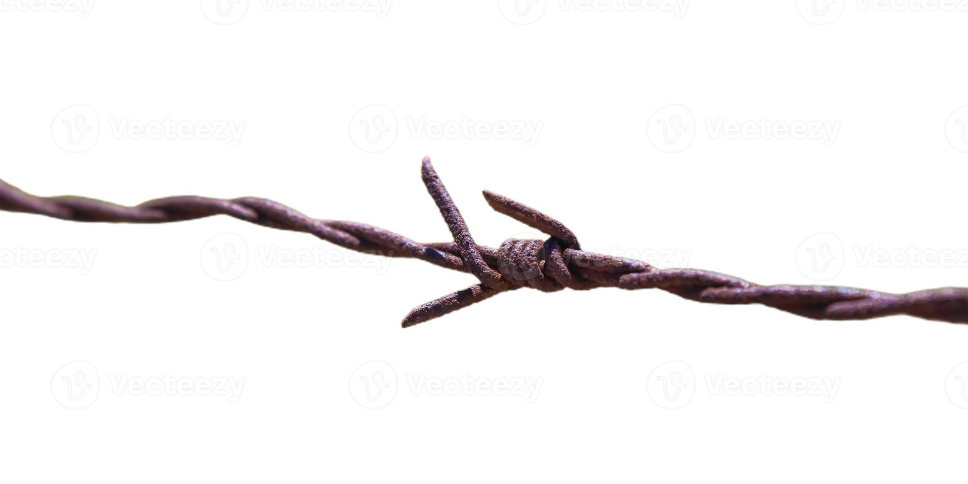 isolated barbed wire photo