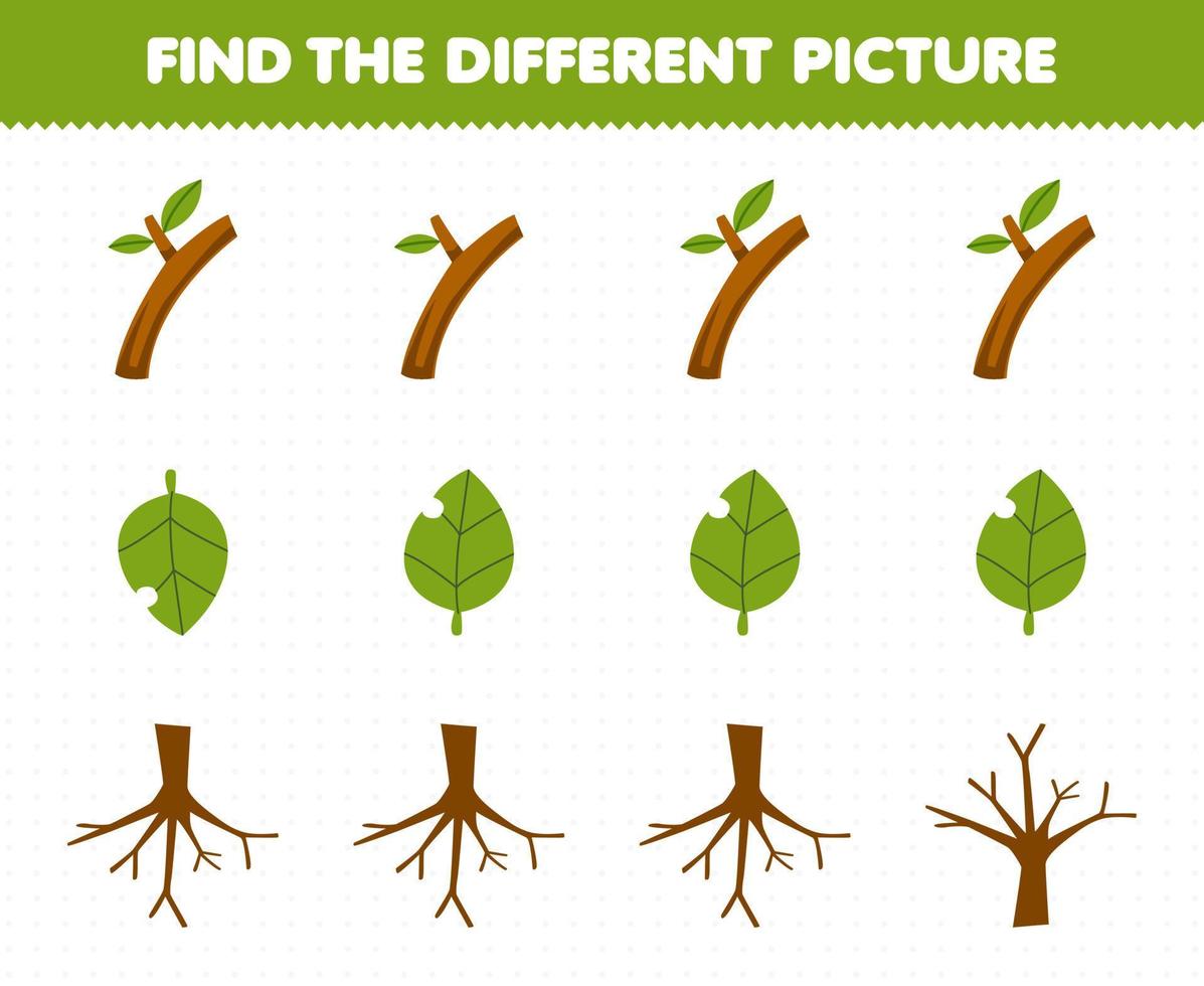 Education game for children find the different picture in each row of cute cartoon branch leaf root printable nature worksheet vector