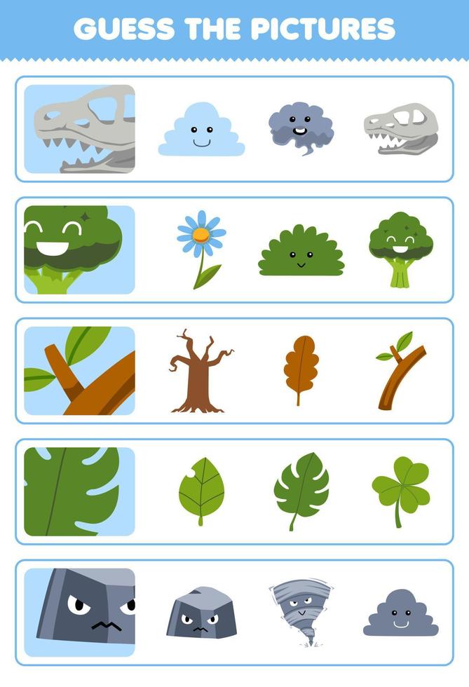 juego educativo para niños adivinar las imágenes correctas de dibujos animados lindo fósil brócoli rama hoja piedra hoja de trabajo de naturaleza imprimible vector