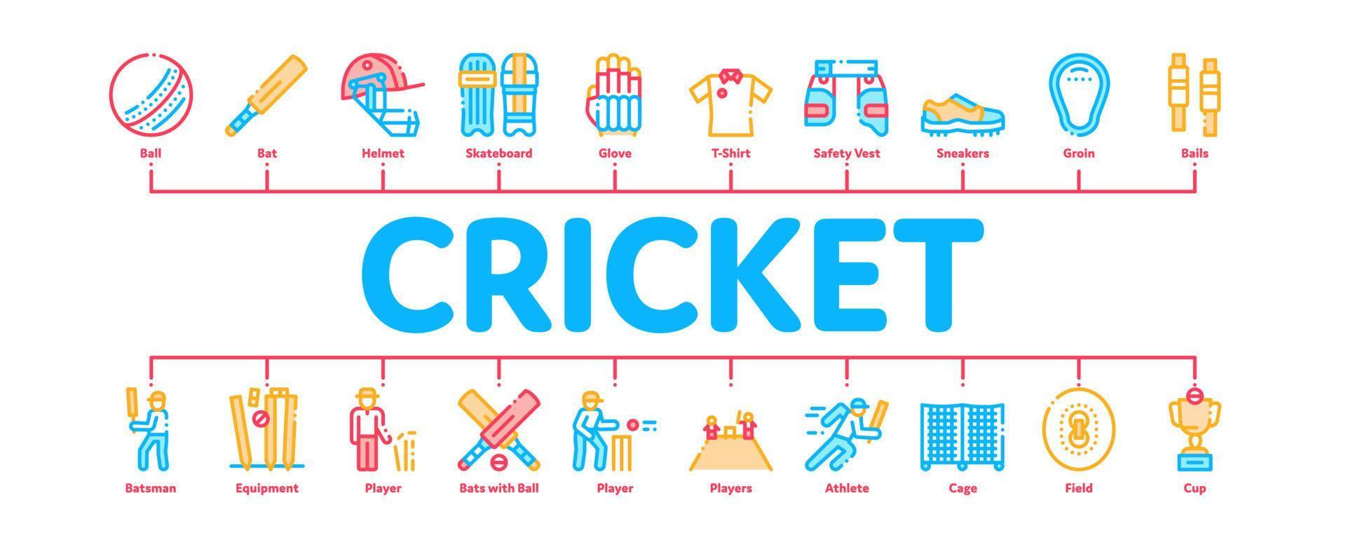 Cricket Game Minimal Infographic Banner Vector