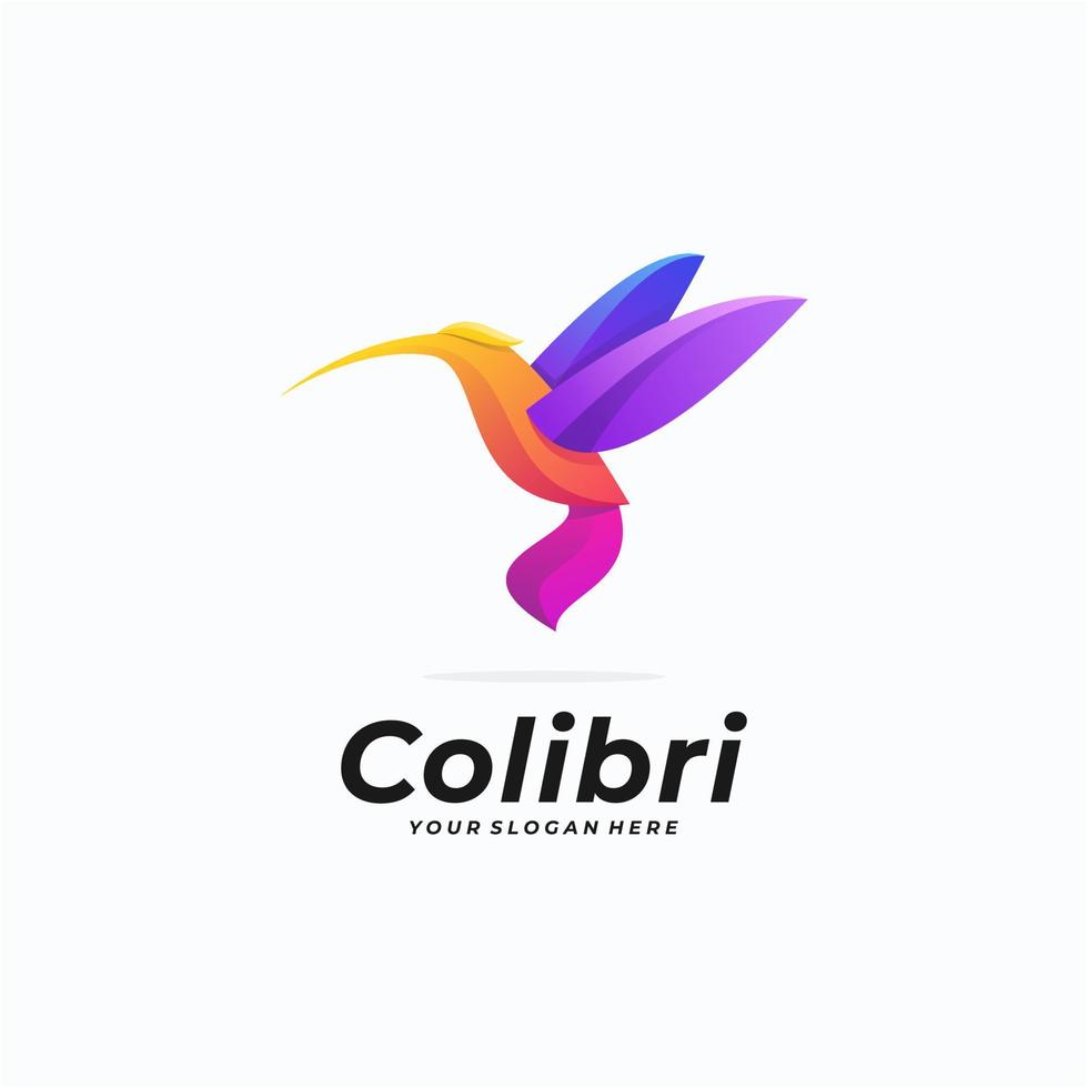 colibri colorido moderno logo diseño vector ilustración.