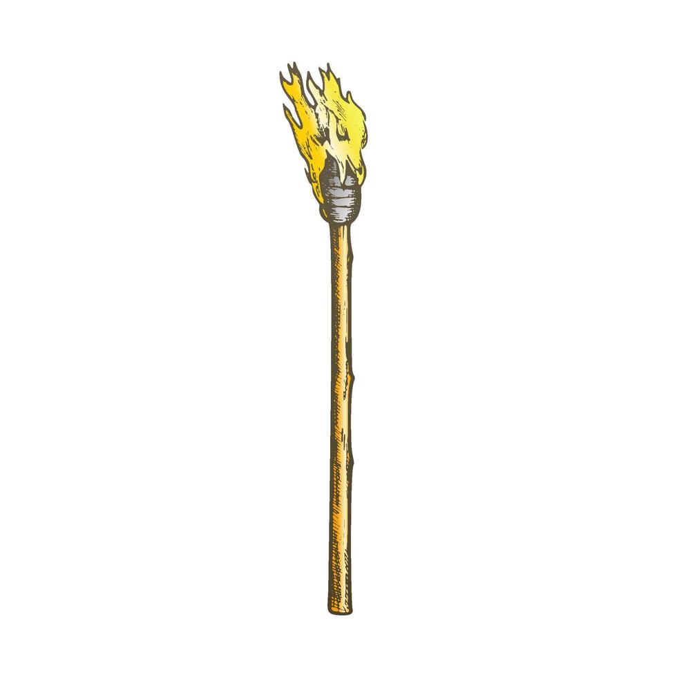 Torch Tall Handmade Wood Burning Stick Color Vector