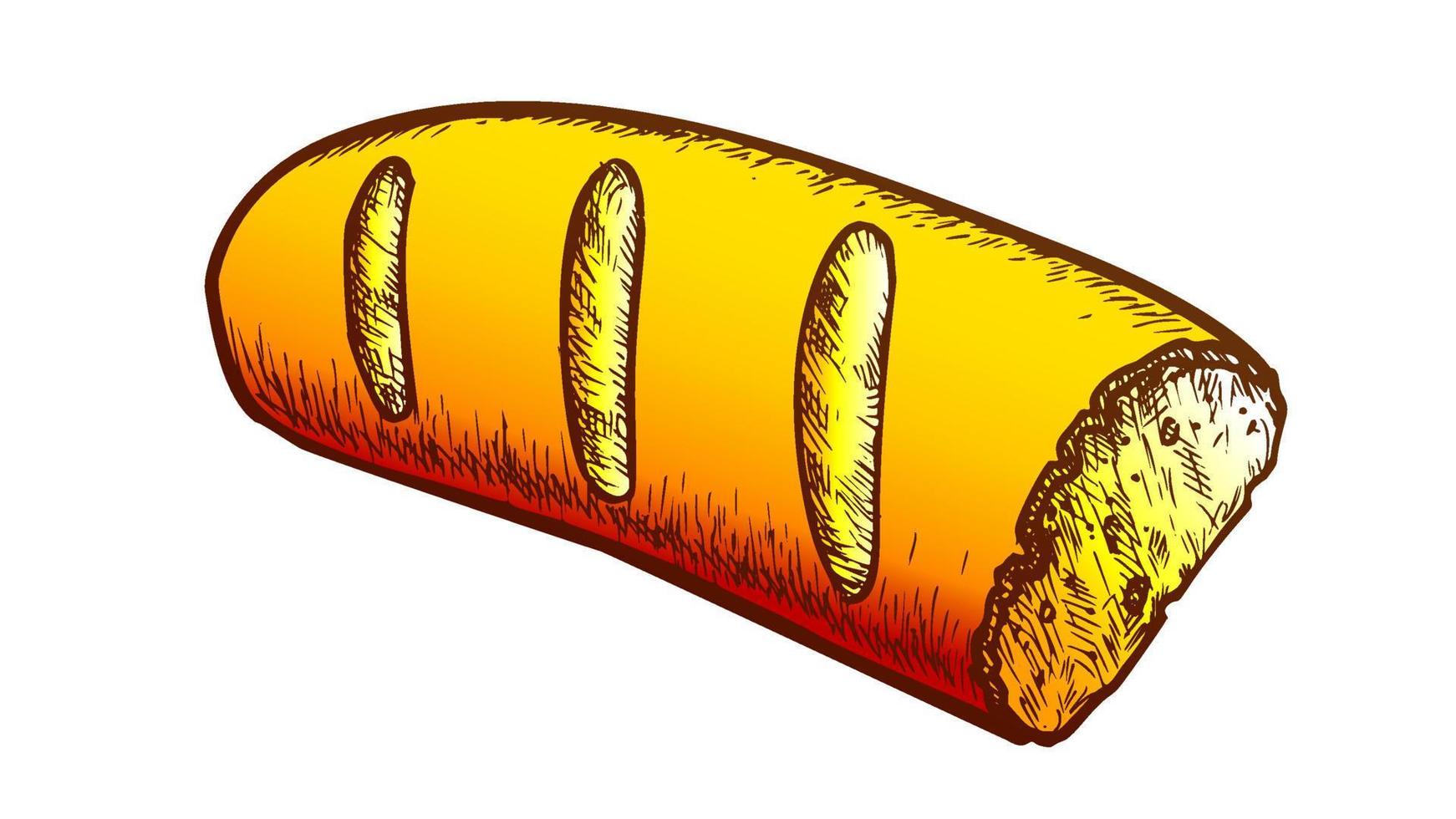 French Bread, Half Of Baked Food Color Vector