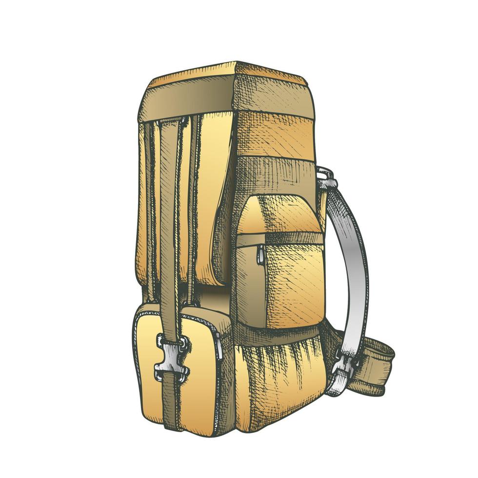 Tourist Travel Backpack Luggage Color Vector