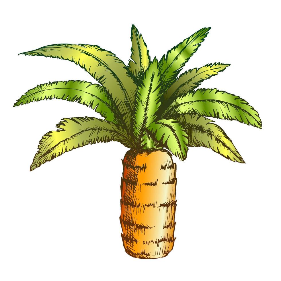 Pineapple Palm Tropical Tree Color Vector