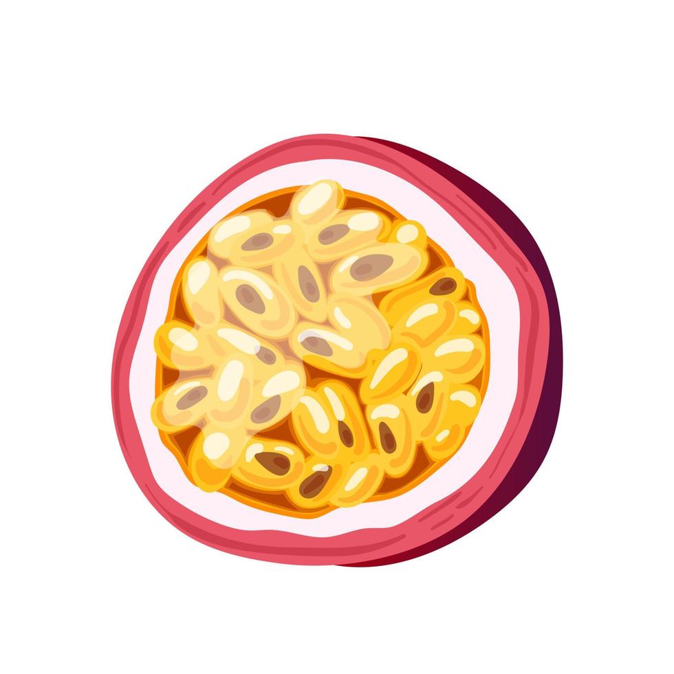 passion fruit cut cartoon vector illustration