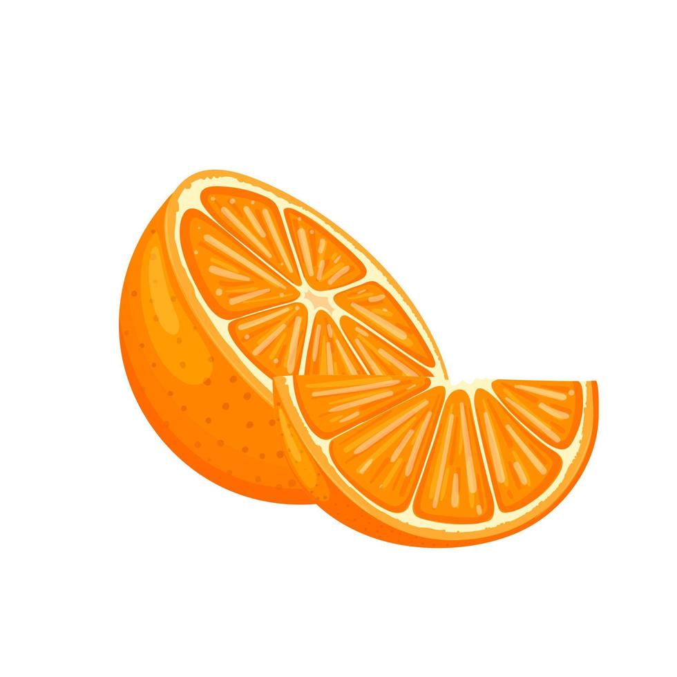orange ripe cartoon vector illustration