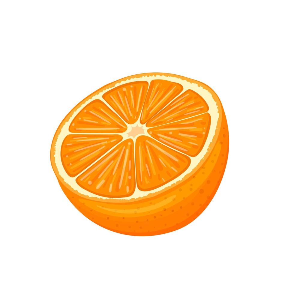 orange cut cartoon vector illustration