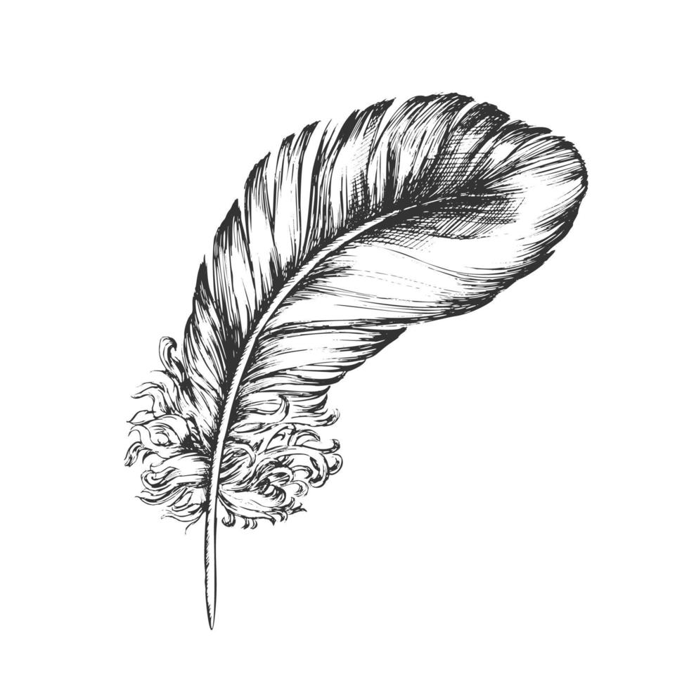Decorative Bird Flying Element Feather Ink Vector